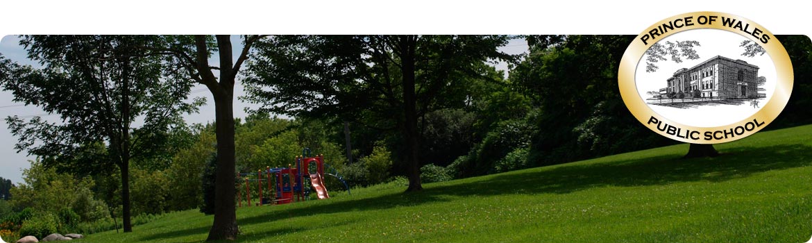 Picture of the back field and playground